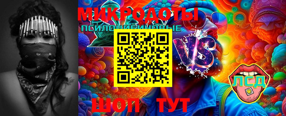 Псилоцибиновые грибы MAGIC MUSHROOMS  Вход с VPN  Биробиджан 